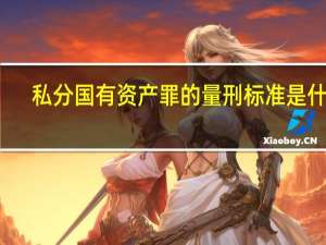 私分国有资产罪的量刑标准是什么