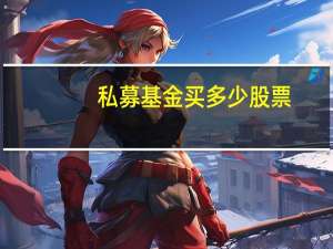 私募基金买多少股票