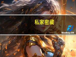 私家密藏（私家秘密处女简介）