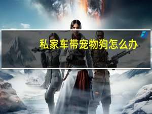 私家车带宠物狗怎么办