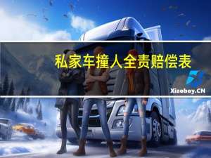 私家车撞人全责赔偿表