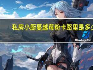 私房小厨 蔓越莓粉卡路里是多少