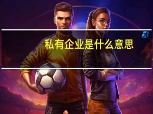 私有企业是什么意思