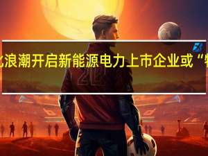 私有化浪潮开启 新能源电力上市企业或“物以稀为贵”