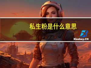 私生粉是什么意思