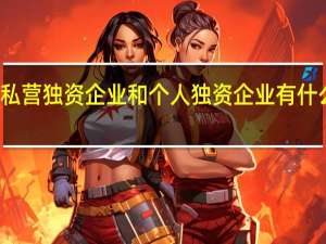 私营独资企业和个人独资企业有什么区别