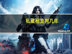 私藏枪支判几年