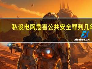 私设电网危害公共安全罪判几年