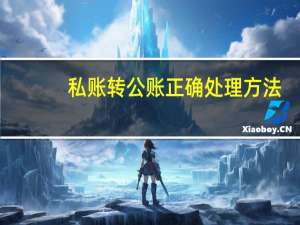 私账转公账正确处理方法