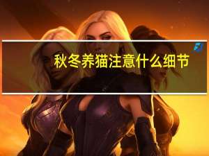 秋冬养猫注意什么细节