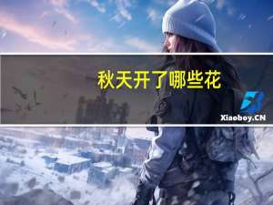 秋天开了哪些花