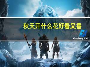 秋天开什么花好看又香（秋天开什么花）