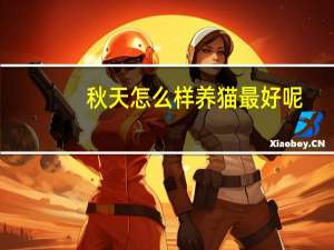 秋天怎么样养猫最好呢