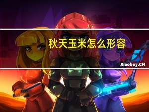 秋天玉米怎么形容