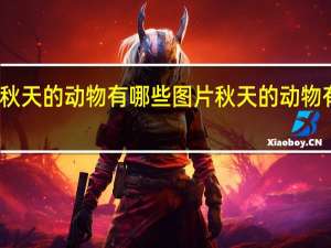 秋天的动物有哪些图片 秋天的动物有哪些