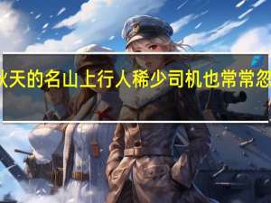 秋天的名山上行人稀少司机也常常忽高忽低