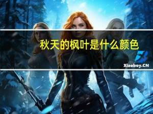 秋天的枫叶是什么颜色