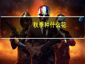 秋季种什么花