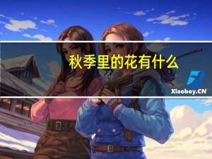 秋季里的花有什么