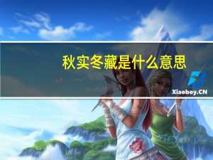 秋实冬藏是什么意思