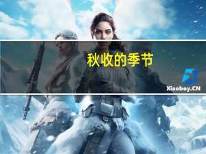 秋收的季节