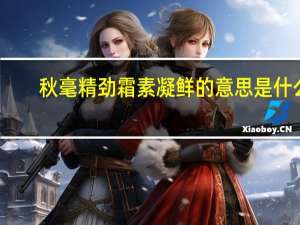 秋毫精劲霜素凝鲜的意思是什么