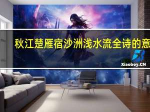秋江楚雁宿沙洲浅水流全诗的意思（秋江楚雁宿沙洲）