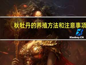 秋牡丹的养殖方法和注意事项