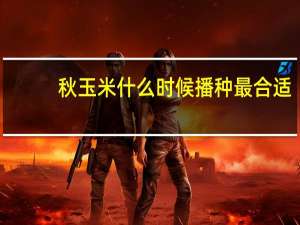 秋玉米什么时候播种最合适