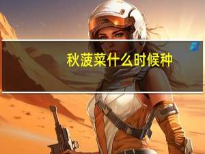 秋菠菜什么时候种