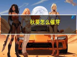 秋葵怎么催芽