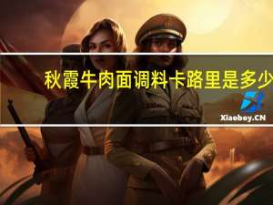 秋霞 牛肉面调料卡路里是多少