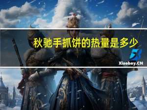 秋驰 手抓饼的热量是多少