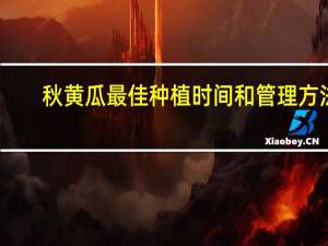 秋黄瓜最佳种植时间和管理方法