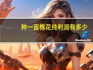 种一亩棉花纯利润有多少