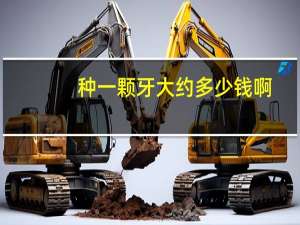 种一颗牙大约多少钱啊，种一颗牙要多少钱