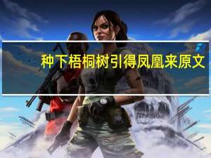 种下梧桐树引得凤凰来原文