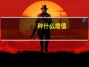 种什么增值