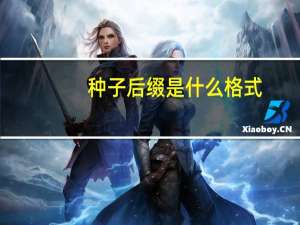种子后缀是什么格式（种子后缀）
