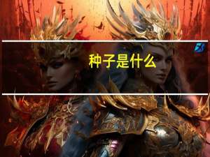 种子是什么