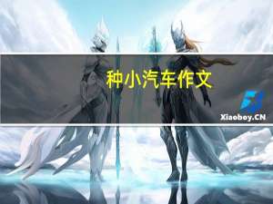 种小汽车作文