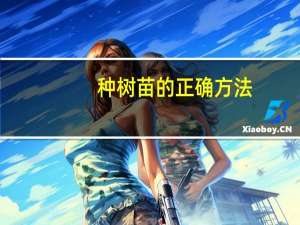 种树苗的正确方法