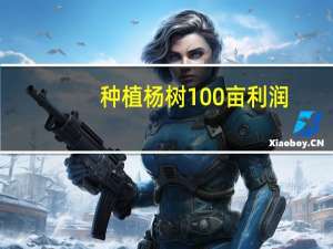 种植杨树100亩利润