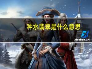 种水翡翠是什么意思
