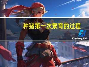 种猪第一次繁育的过程