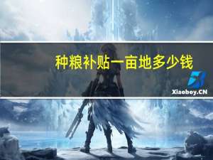 种粮补贴一亩地多少钱