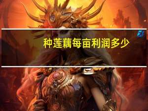 种莲藕每亩利润多少