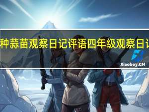 种蒜苗观察日记评语 四年级观察日记大蒜