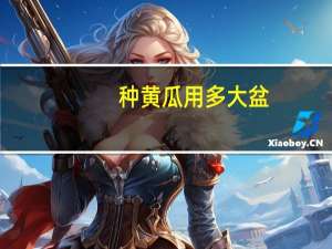 种黄瓜用多大盆