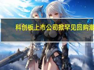 科创板上市公司掀罕见回购潮